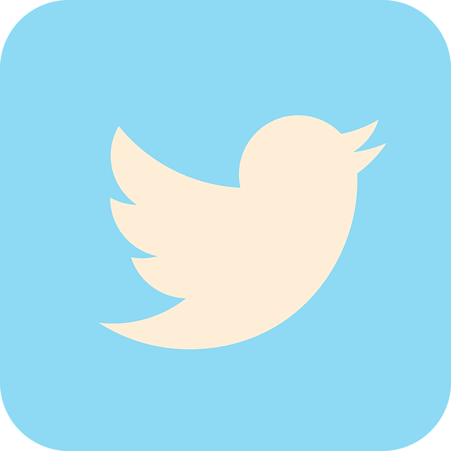 twitter logo